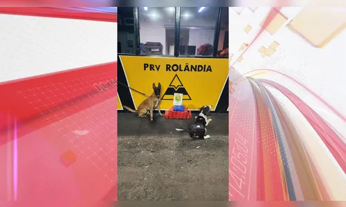 Polícia apreende 22kg de maconha dentro de ônibus em Rolândia; vídeo
