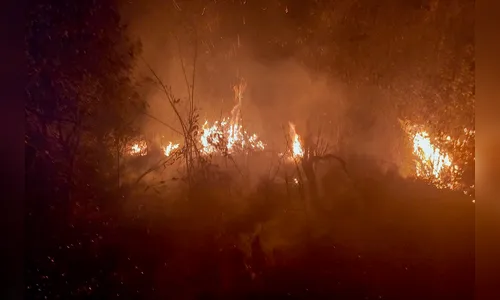 IAT faz alerta sobre incêndios nas Unidades de Conservação do Paraná