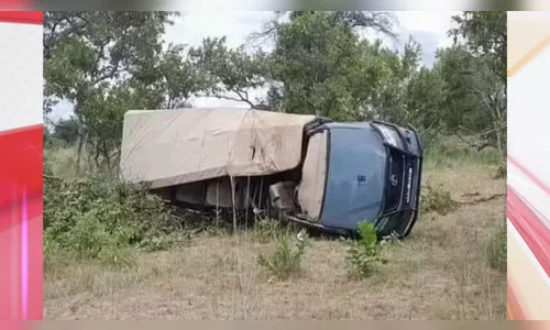 Elefante corre atrás de caminhão e mata uma pessoa na África; vídeo