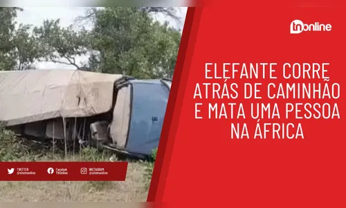 Elefante corre atrás de caminhão e mata uma pessoa na África