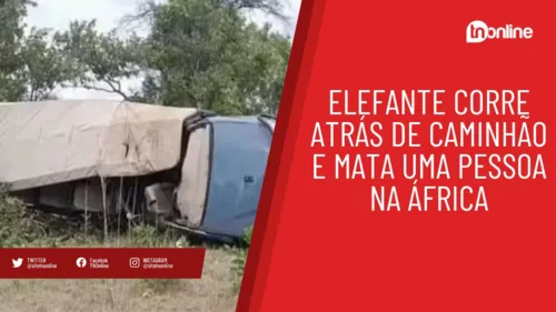 Elefante corre atrás de caminhão e mata uma pessoa na África