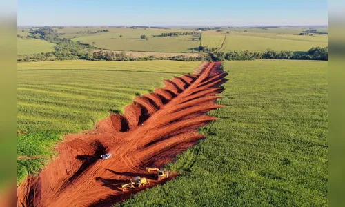 Paraná celebra pioneirismo na difusão da agricultura que cuida do solo