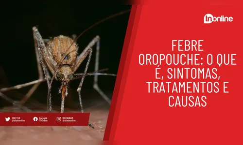Febre oropouche: o que é, sintomas, tratamentos e causas