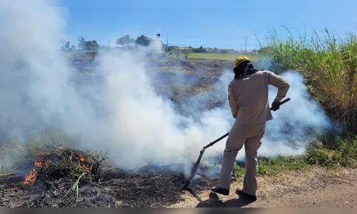Paraná já registrou mais de 9,3 mil incêndios florestais em 2024