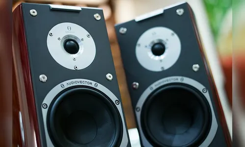 Homem pendura som em árvore para incomodar vizinha e PM é chamada