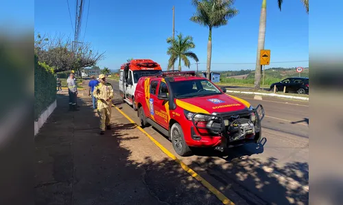 Idoso sofre ataque de abelhas e é encaminhado ao 'Providência'