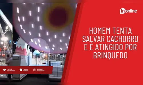 Homem tenta salvar cachorro e é atingido por brinquedo