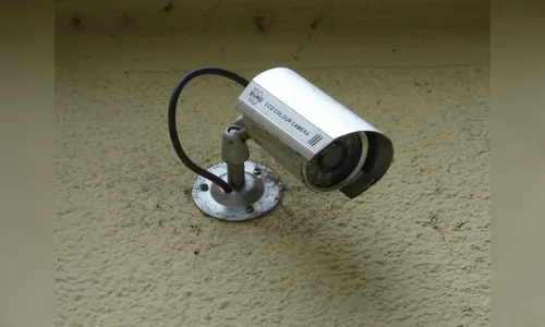 Loja de produtos agropecuários é furtada em Arapongas; PM foi acionada