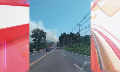 Incêndio ambiental mobiliza bombeiros em Apucarana