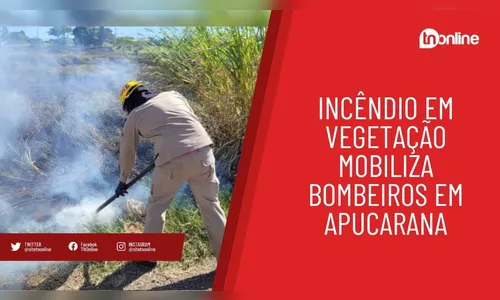 Incêndio em vegetação mobiliza bombeiros em Apucarana