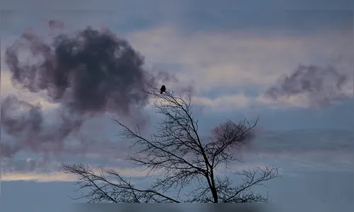 Apucarana registra mínima de 14°C nesta quinta-feira; veja a previsão