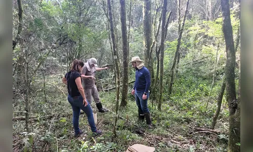 União do IAT e UFPR viabiliza projeto de recuperação de áreas úmidas