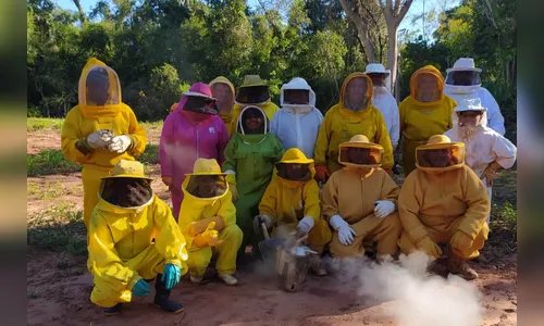 Centro da UEM desenvolve pesquisa genética com abelhas