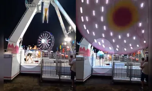 Homem tenta salvar cachorro e é atingido por brinquedo; veja vídeo