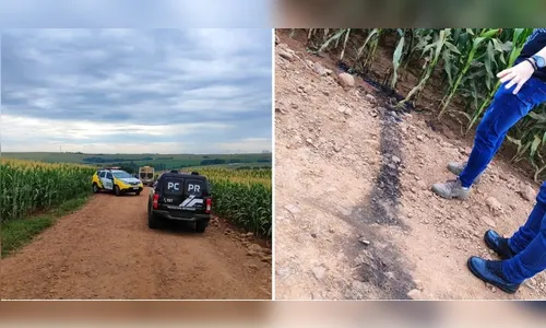 Moradores encontram corpo carbonizado em estrada rural no Paraná