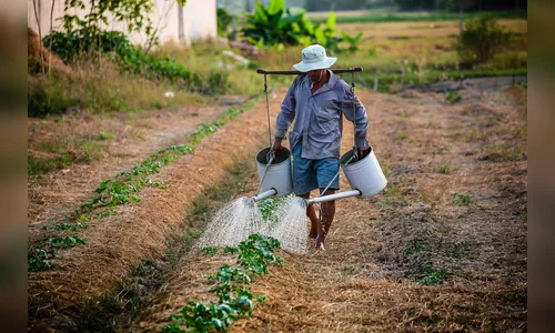 O despovoamento rural e a ruralidade em risco