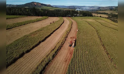 Paraná vai produzir 1,25 bilhão de litros de etanol na atual safra