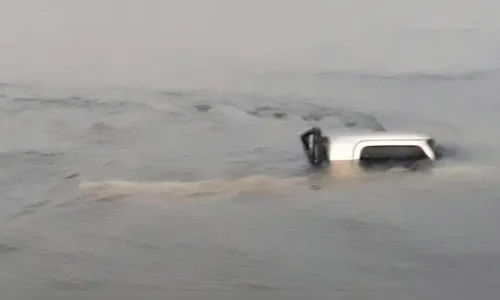 Motorista escapa ileso após queda de caminhonete no Rio Paraná