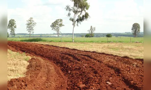 IDR-PR leva para ExpoLondrina discussão sobre mudanças climáticas