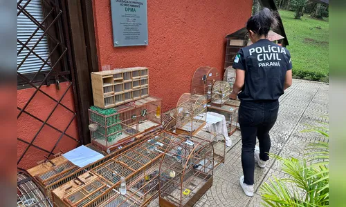 Polícia Civil orienta sobre como denunciar maus-tratos a animais