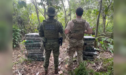 PF e BPFRON apreendem mais de 200 kg de maconha