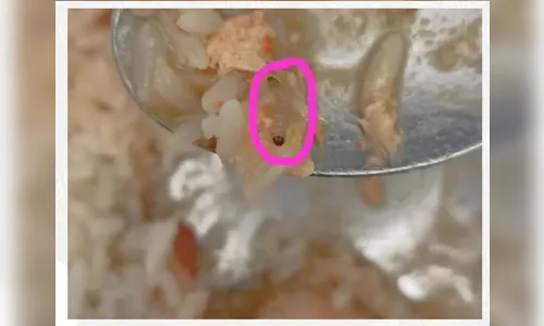 Pai denuncia larva em merenda de colégio em Maringá