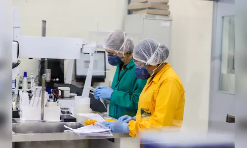 Saiba o que é a febre do oropouche, que pode ter matado apucaranense