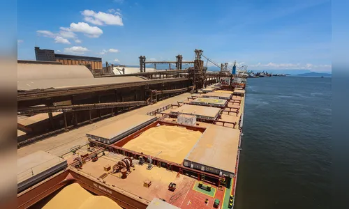 China recebe 91,8% da soja exportada pelo Porto de Paranaguá