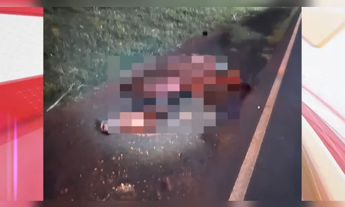 Cavalo solto em rodovia causa acidente com moto no PR; animal morreu