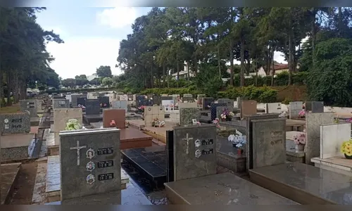 Ladrões furtam peças de 200 túmulos em cemitério do PR; um foi preso