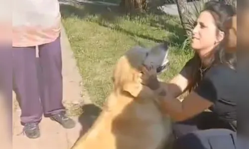 Mulher tenta abater pet em açougue e perde guarda do animal