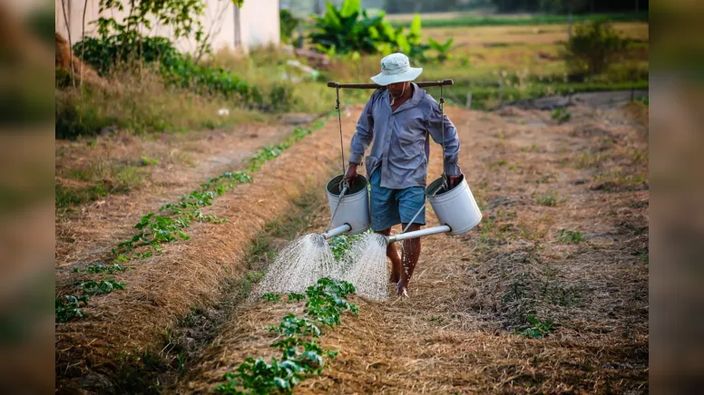 Imagem ilustrativa da notícia O despovoamento rural e a ruralidade em risco