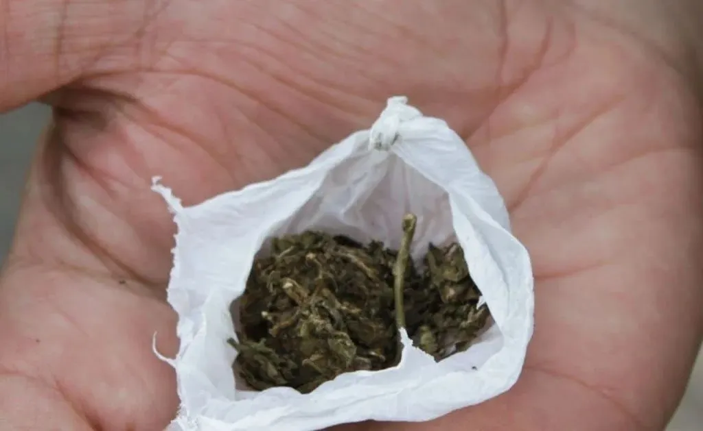 A mulher estava de posse de 24 gramas de maconha