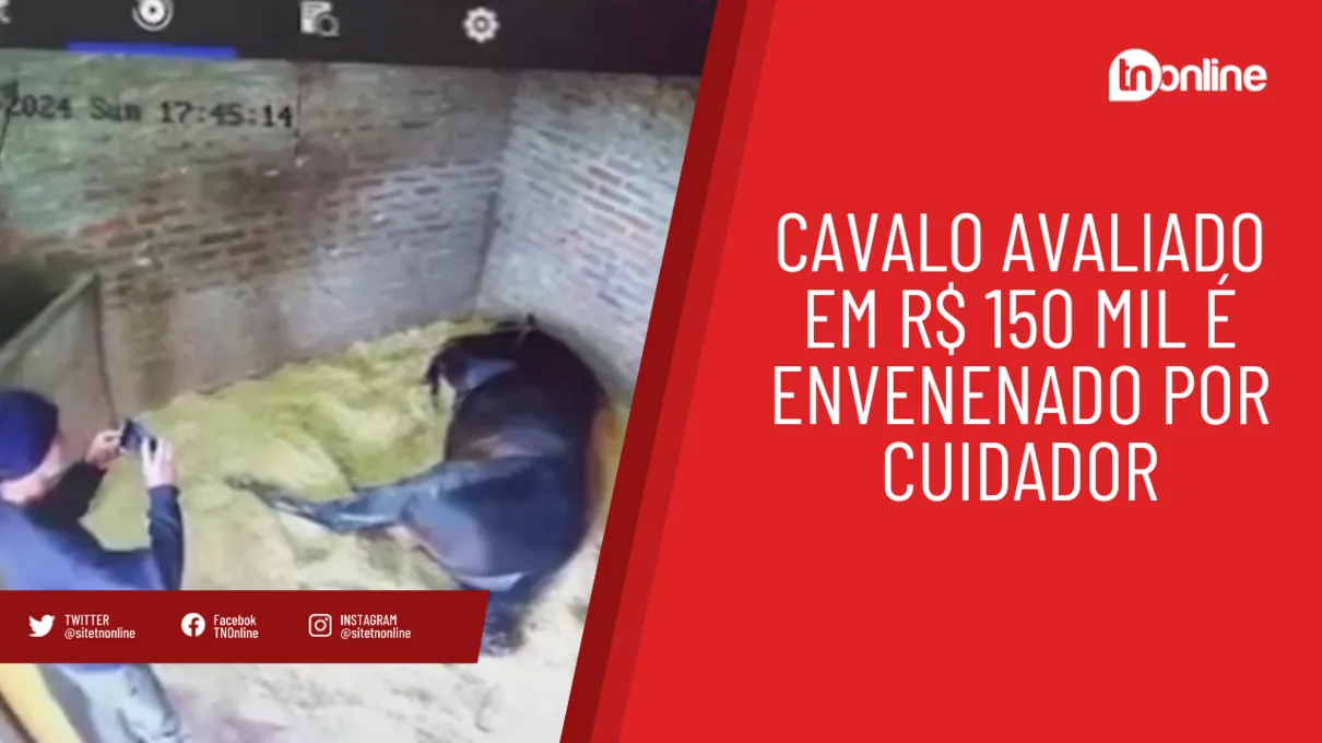 Cavalo avaliado em R$ 150 mil é envenenado por cuidador