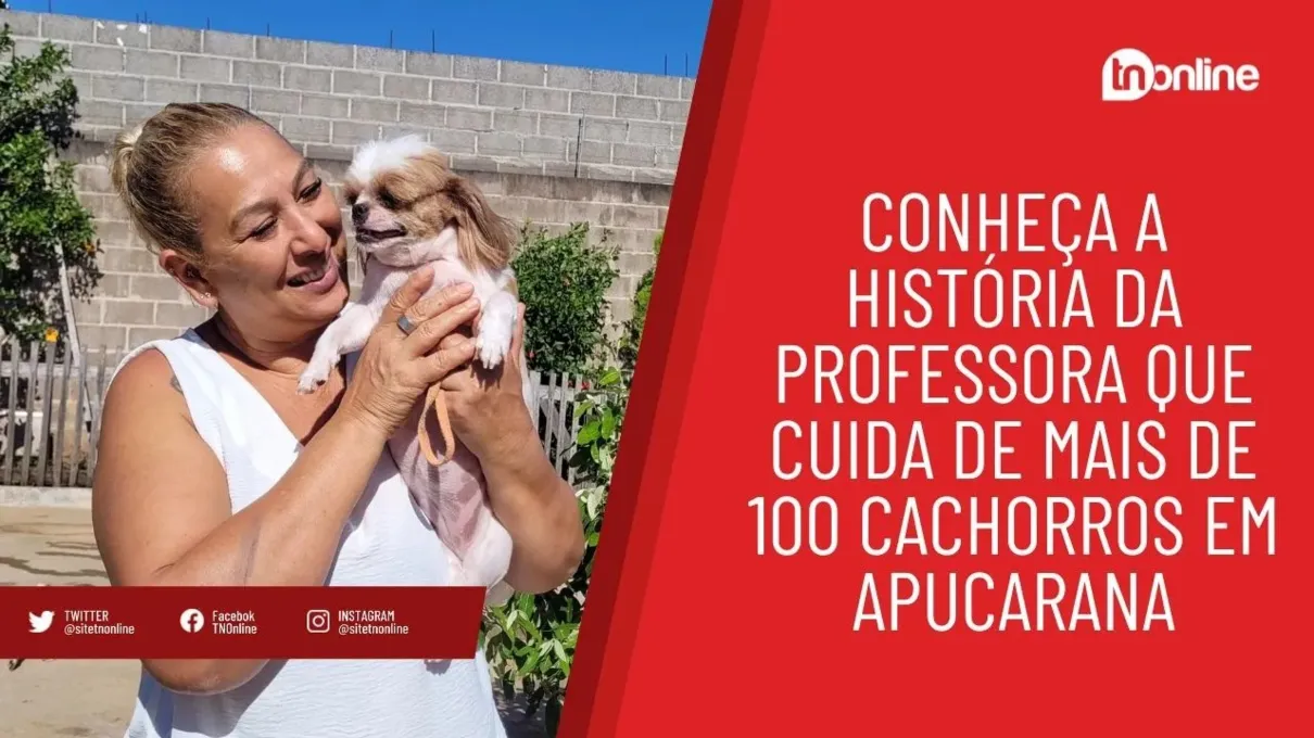 Conheça a história da professora que cuida de mais de 100 cachorros