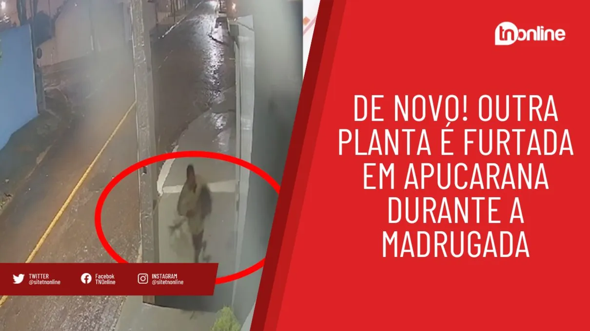 De novo! Outra planta é furtada em Apucarana durante a madrugada