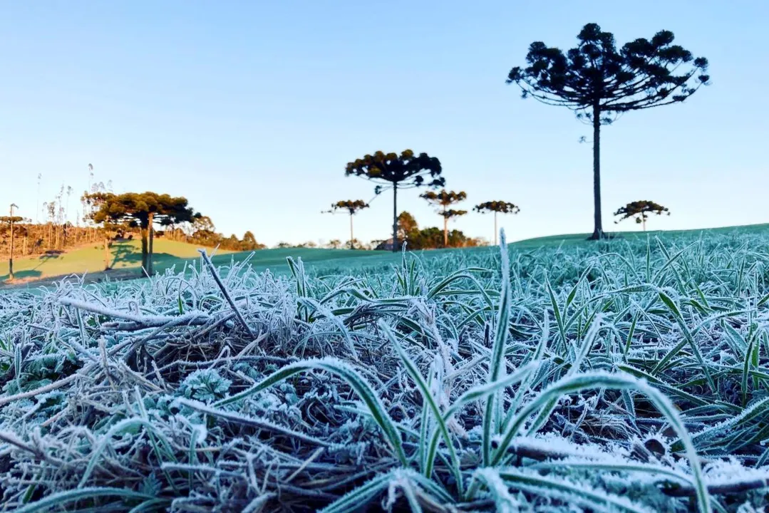 Cidades registram geada e temperaturas abaixo de zero no Paraná