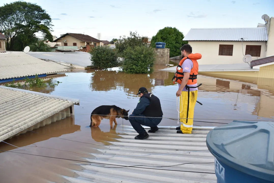 Mais de 200 mil pessoas estão fora de casa no Rio Grande do Sul