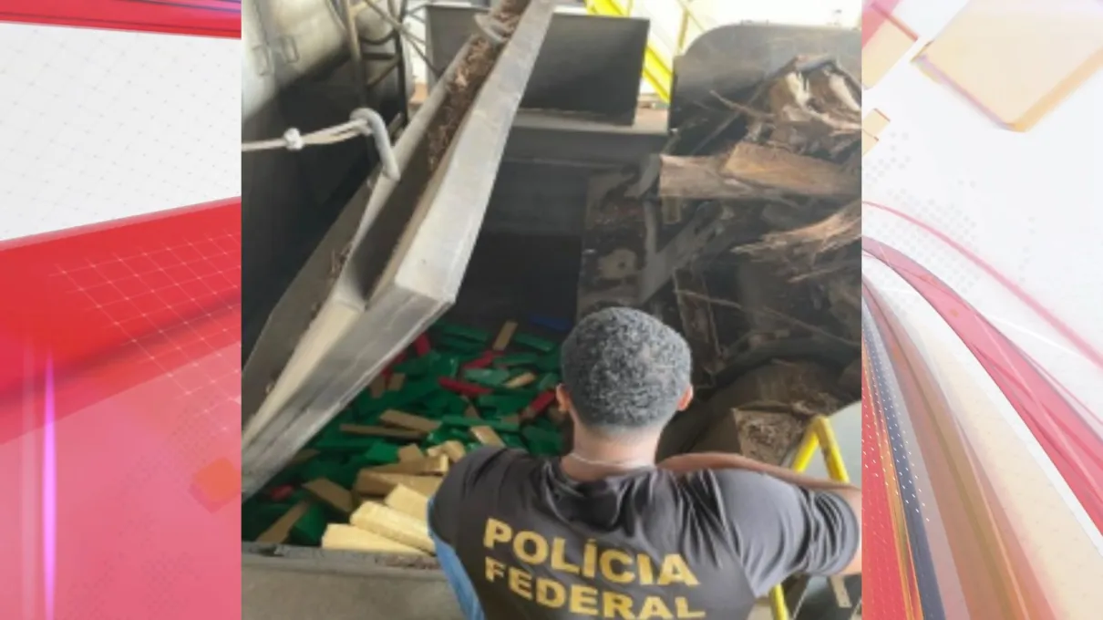 Polícia Federal incinera 1.800 de drogas em Guarapuava