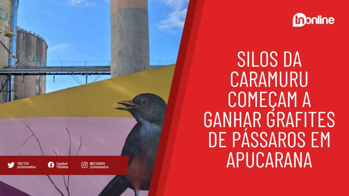 Silos da Caramuru começam a ganhar grafites de pássaros em Apucarana