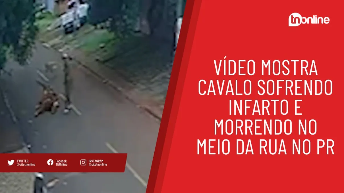 Vídeo mostra cavalo sofrendo infarto e caindo no meio da rua no PR