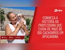 Conheça a história da professora que cuida de mais de 100 cachorros