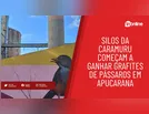 Silos da Caramuru começam a ganhar grafites de pássaros em Apucarana