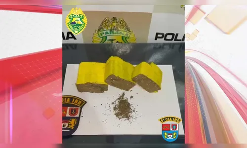 PM apreende 423 gramas de maconha e detém suspeito de tráfico