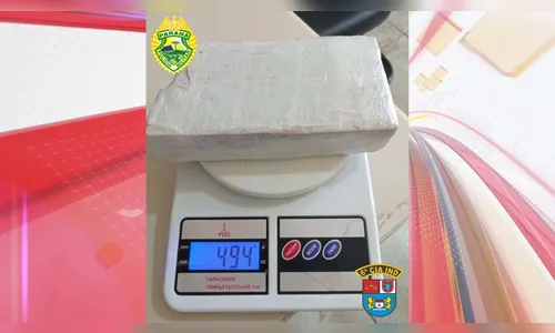 Homem é detido com quase meio quilo de maconha em Jardim Alegre