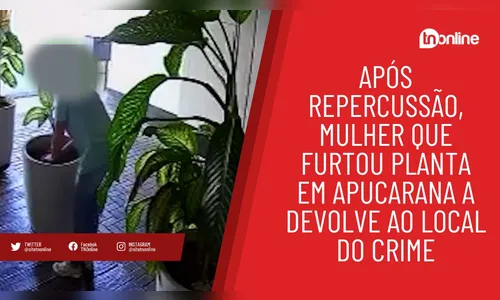 Após repercussão, mulher devolve planta furtada em Apucarana