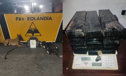 Mulher transporta droga para pagar dívida a agiota e é presa no PR