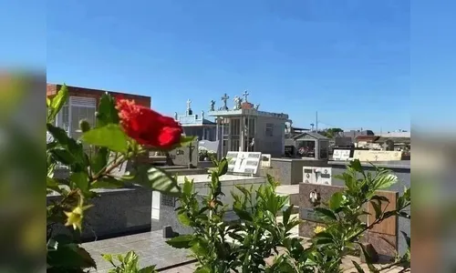 Confira os falecimentos desta sexta (3) em Apucarana e região