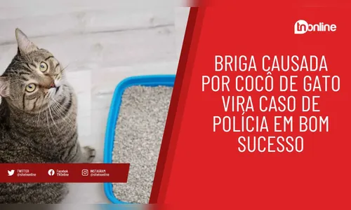 Briga causada por cocô de gato vira caso de polícia em Bom Sucesso