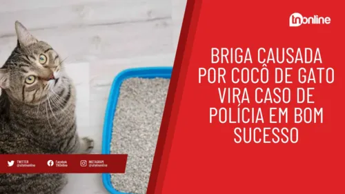 Briga causada por cocô de gato vira caso de polícia em Bom Sucesso